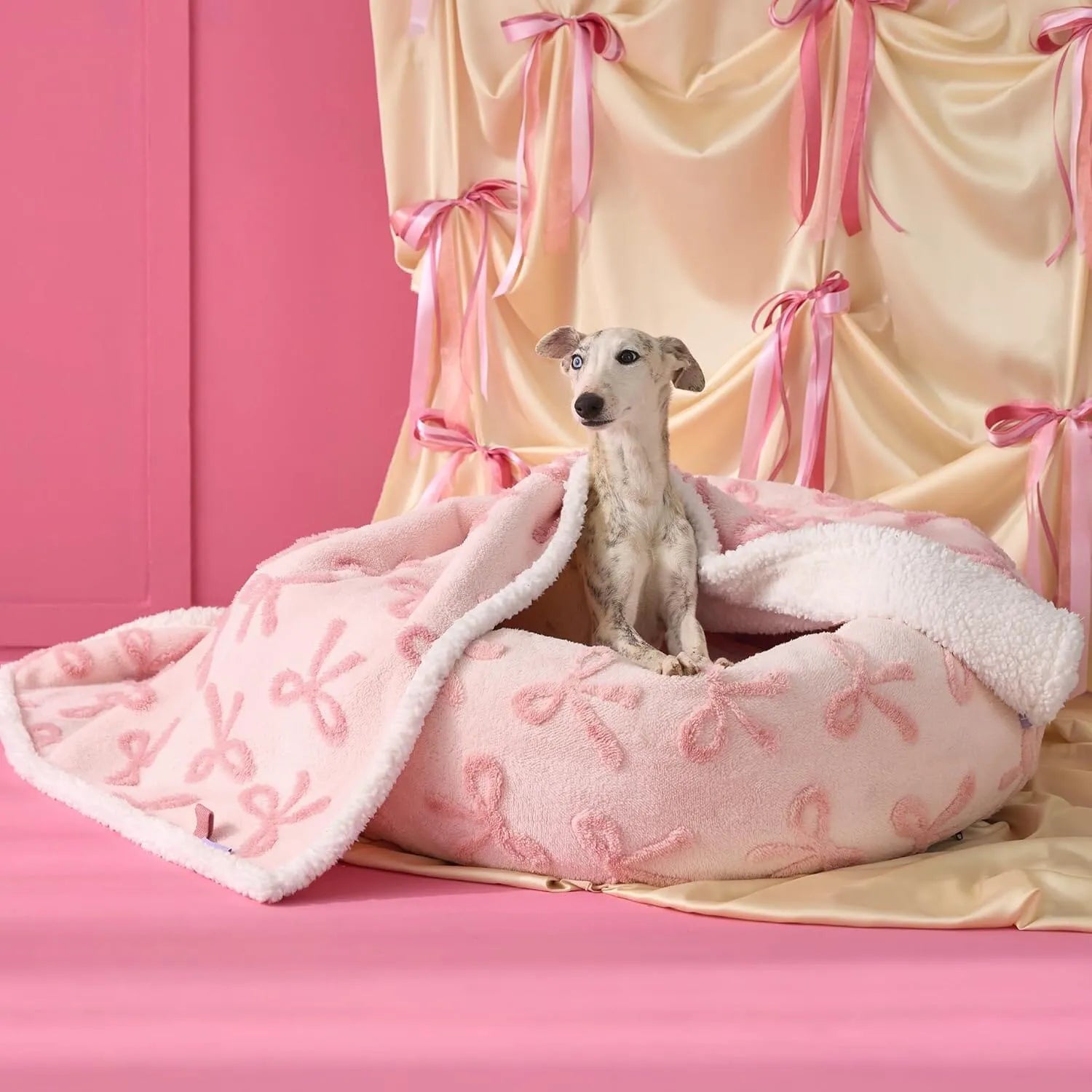 Lesure Waterproof Pet Blanket for Dogs and Cats