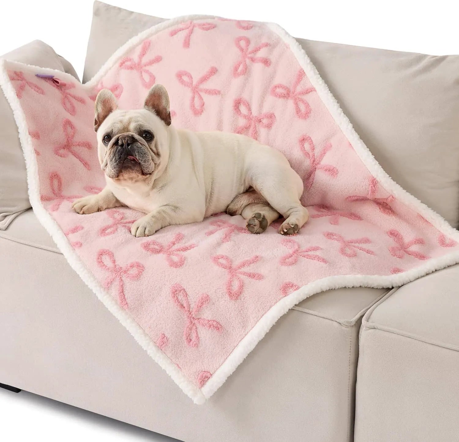 Lesure Waterproof Pet Blanket for Dogs and Cats