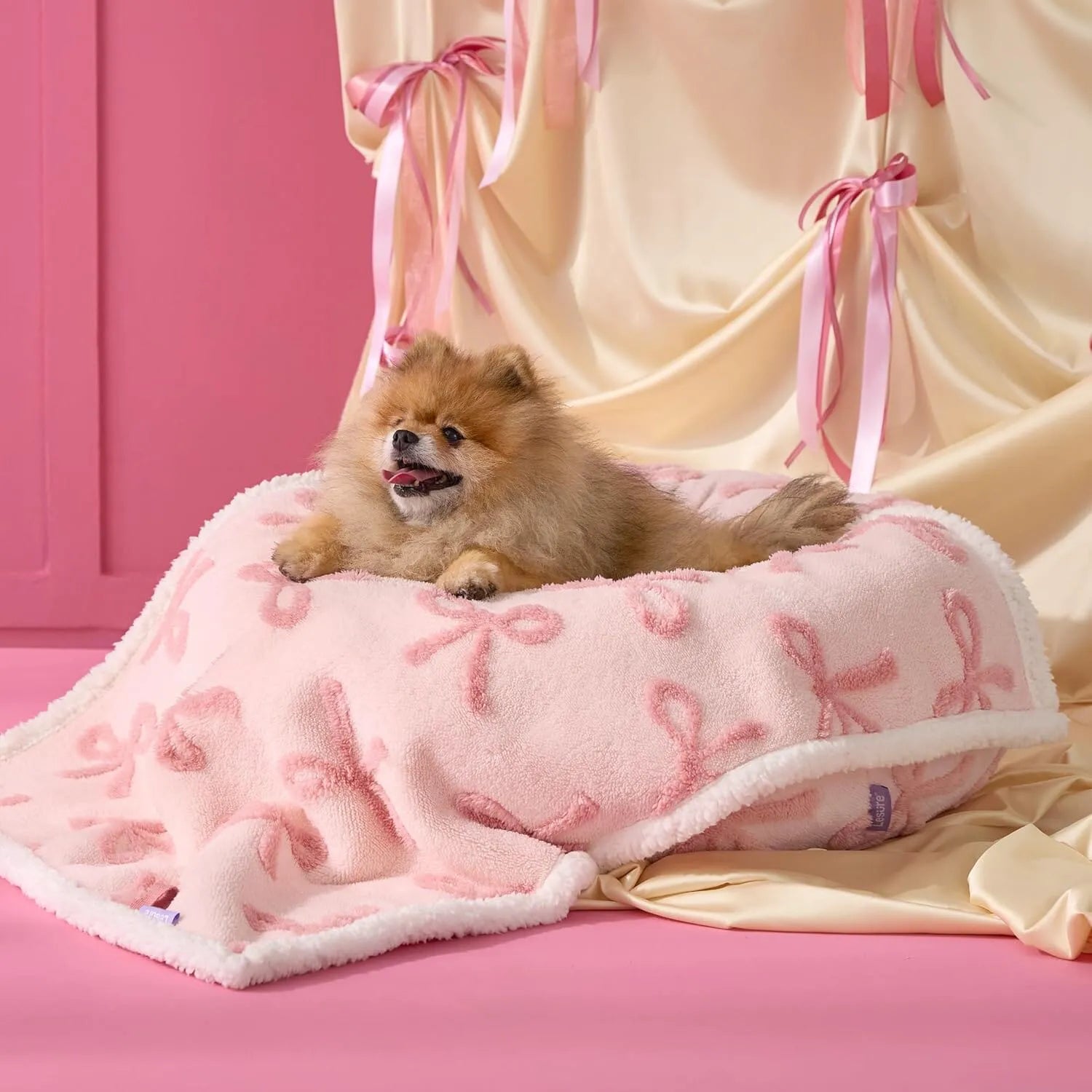 Lesure Waterproof Pet Blanket for Dogs and Cats