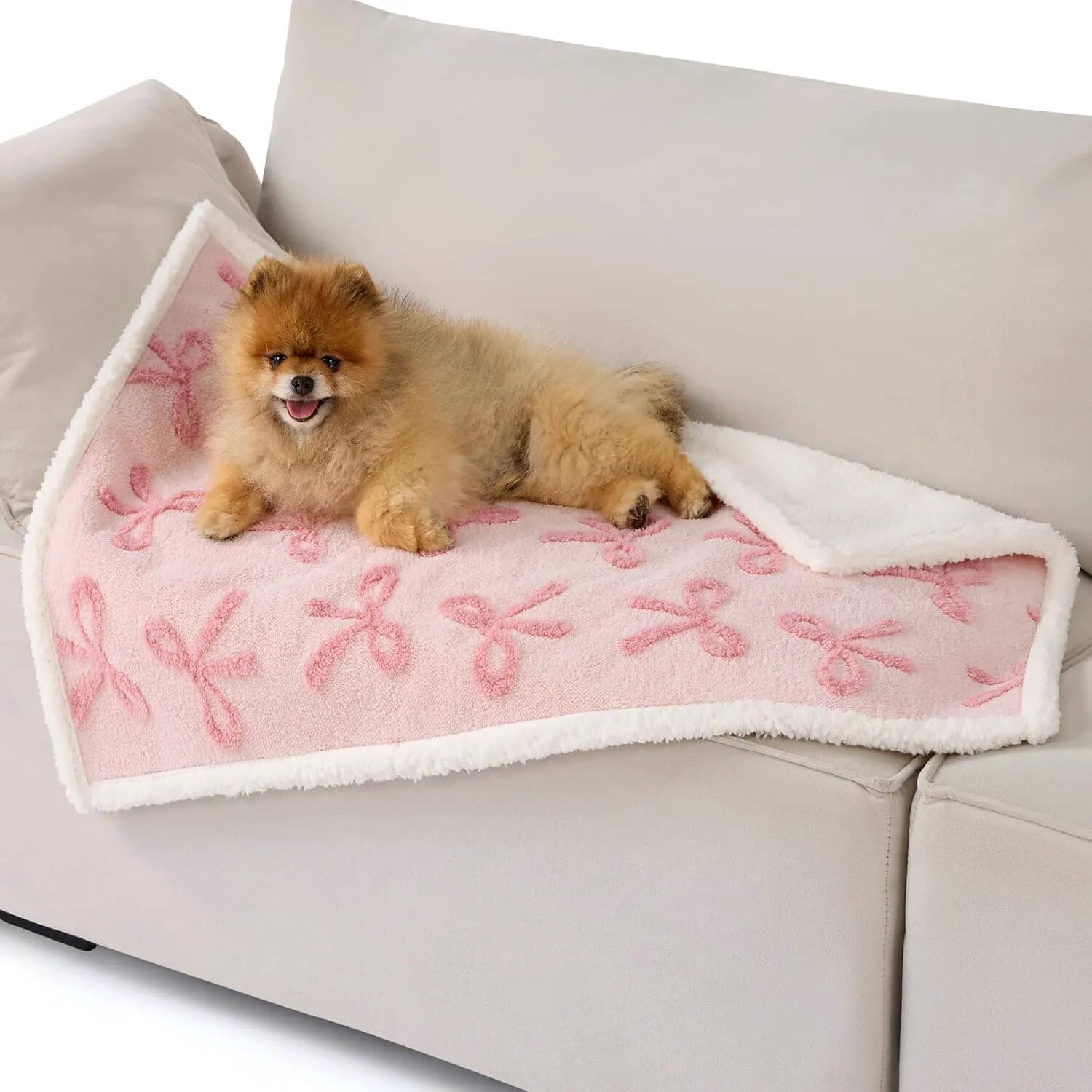 Lesure Waterproof Pet Blanket for Dogs and Cats