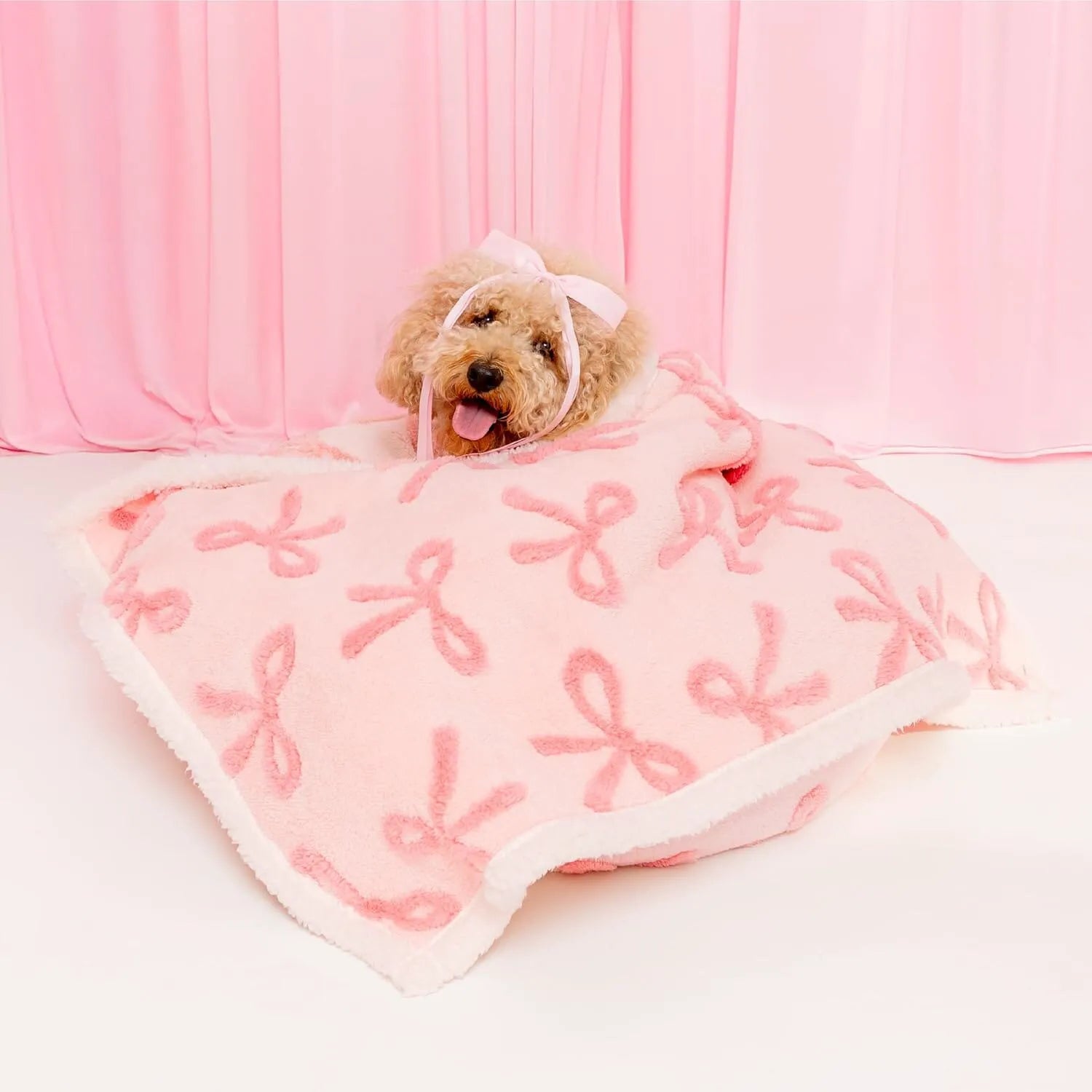 Lesure Waterproof Pet Blanket for Dogs and Cats